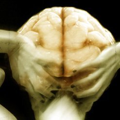 Al termine dello spettacolo Organon la coreografa Marta Bevilacqua incontra il pubblico