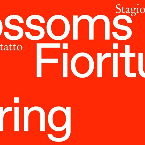 Vi aspettiamo giovedì 29 aprile ore 18 al Teatro Palamostre di Udine per scoprire Spring / Primavera 2021, la nuova Fioritura di Teatro Contatto / Blossoms, la nostra stagione lunga un anno