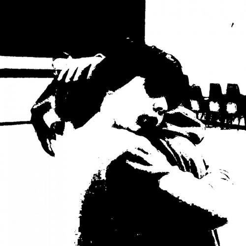 Open call per Peaceful Places / Residenza di Margherita Landi e Agnese Lanza per Dialoghi a Villa Manin