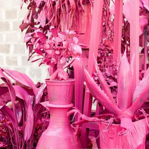 Lunedì 4 settembre ore 18 al Palamostre di Udine presentazione della Stagione Teatro Contatto 41→42