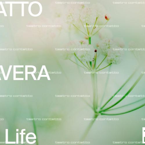 È arrivata la nuova ContattoCard Primavera