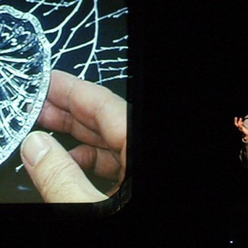 Scuole e famiglie a teatro con la bellezza delle favole e un omaggio a Gianni Rodari per i bambini della generazione 2.0