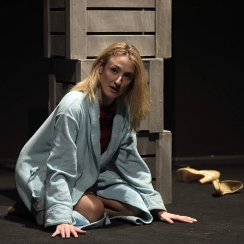 Diario di una casalinga serba vola a New York