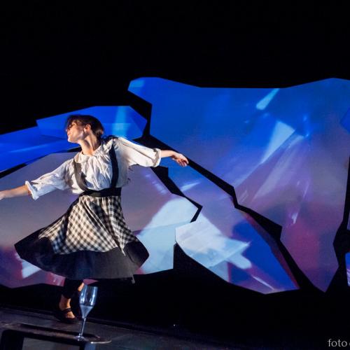 Girotondo del bosco, racconti di piuma, di pelo e di foglia, a Contatto TIG in famiglia