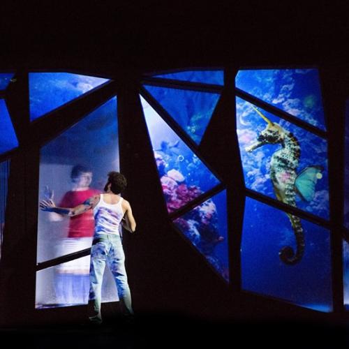 A Contatto TIG in famiglia debutta Alan e il mare