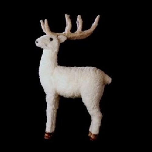 Premio Scenario 2019