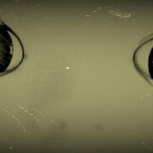 Provini per nuova produzione