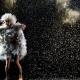 ph_Gemma Rossi