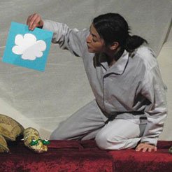 Favole sotto il letto