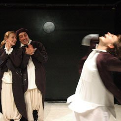 Il pinguino senza frac