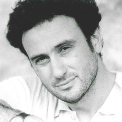 Il legno dei violini