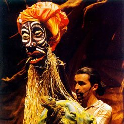 Il sogno di tartaruga